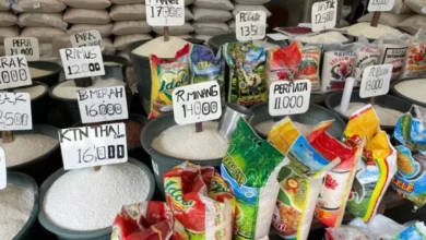 Harga Beras di tempat di Negeri Matahari Terbit Naik 90%, Bagaimana di dalam tempat Indonesia?