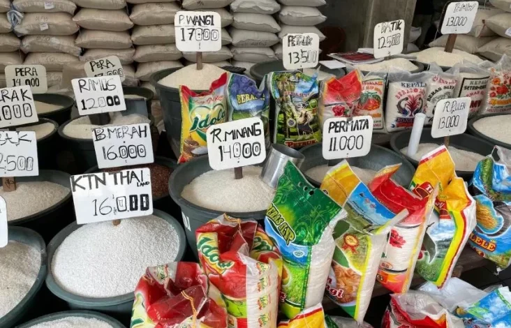 Harga Beras di tempat di Negeri Matahari Terbit Naik 90%, Bagaimana di dalam tempat Indonesia?