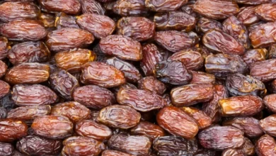 Kenapa Kurma Bagus untuk Berbuka Puasa? Inilah 5 Manfaat yang mana dimaksud Bisa Didapat