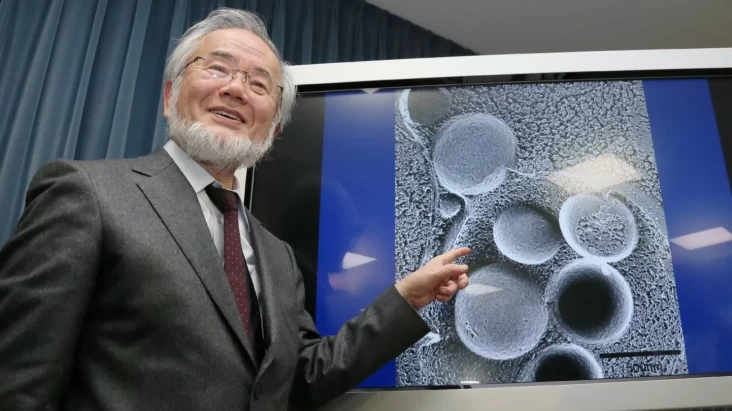 Profil Yoshinori Ohsumi, Peneliti Negeri Sakura yang dimaksud dimaksud Mendapat Nobel pasca Meneliti Manfaat Puasa