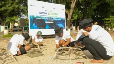 BRI Menanam Grow & Green Transplantasi Terumbu Karang, Selamatkan Ekosistem Laut pada tempat NTB