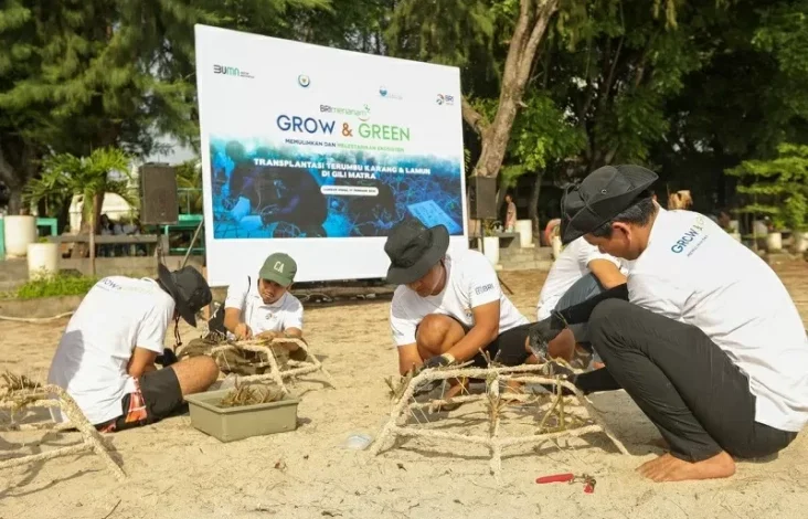 BRI Menanam Grow & Green Transplantasi Terumbu Karang, Selamatkan Ekosistem Laut pada tempat NTB