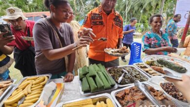 Menyukseskan inisiatif MBG melalui penguatan pangan lokal pada Papua