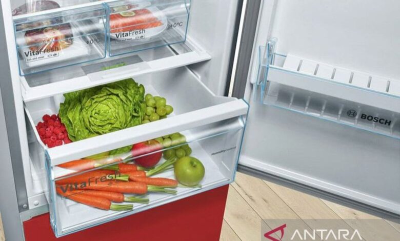 Sederet makanan yang digunakan mana sebaiknya tak disimpan pada “freezer”