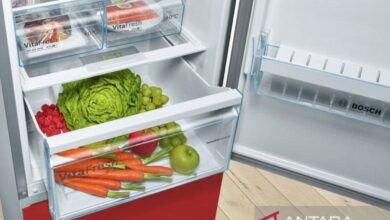 Sederet makanan yang dimaksud sebaiknya tidak ada ada disimpan di di “freezer”